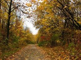 images (27)