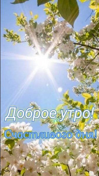 bf52e503af0719f17151643830