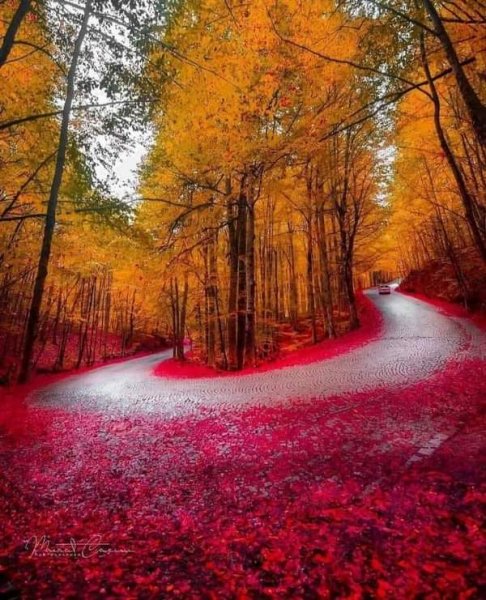 красивая осень