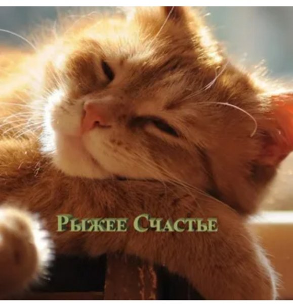 Просто прелесть!