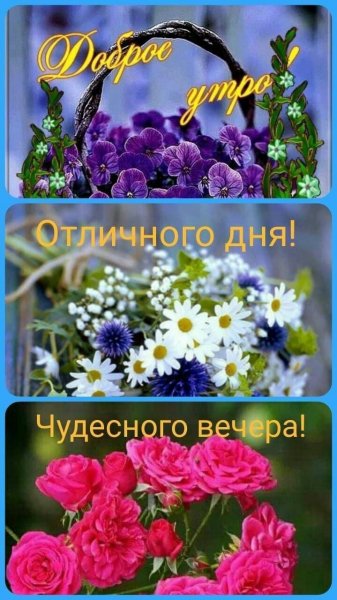 Всем вам!