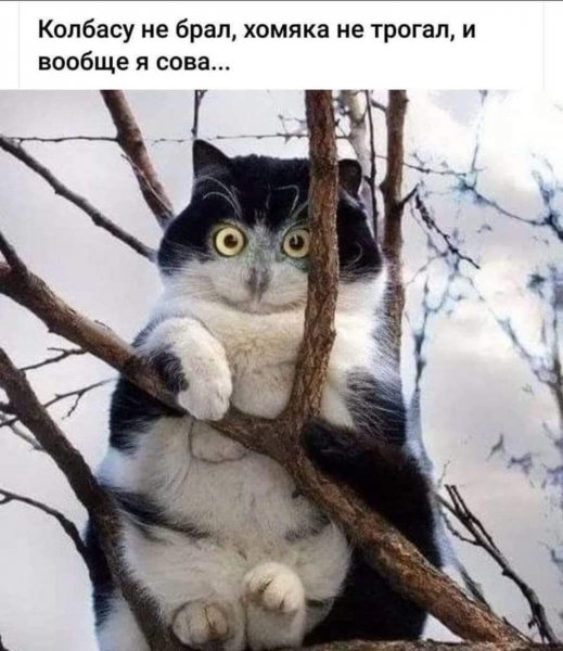 FB IMG 1605770713996