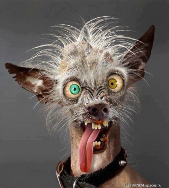 PhotoChooser-09384431-6a12-4498-ab90-d0d