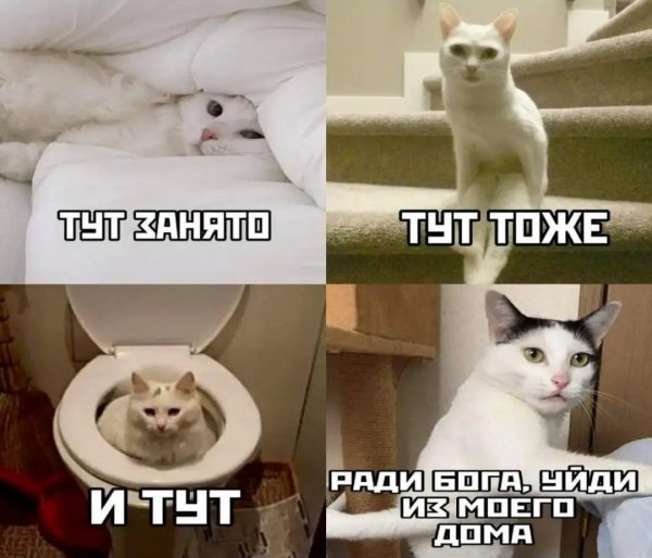 d99d4aa69c45f6547d9940b6439