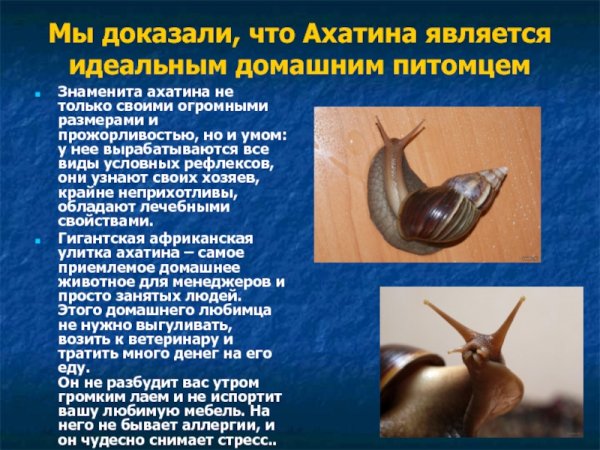 Ахатина