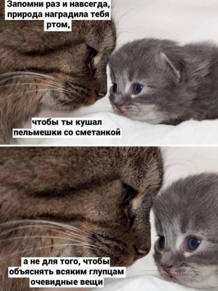 Try not die in sad life 8b911ad1af1c4df3