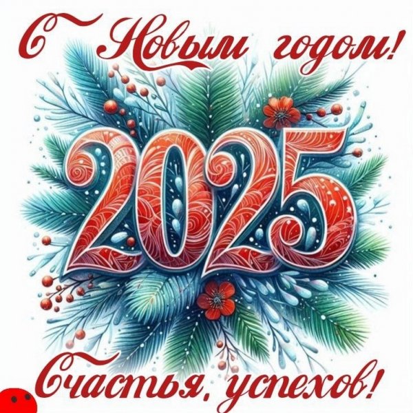 С новым 2025 годом!