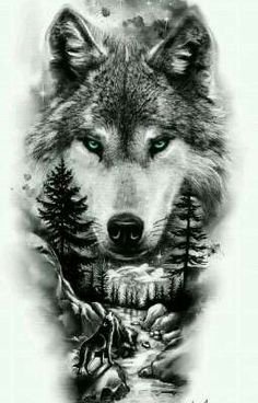 cfc66b90da81564843f77baf6bcbf
