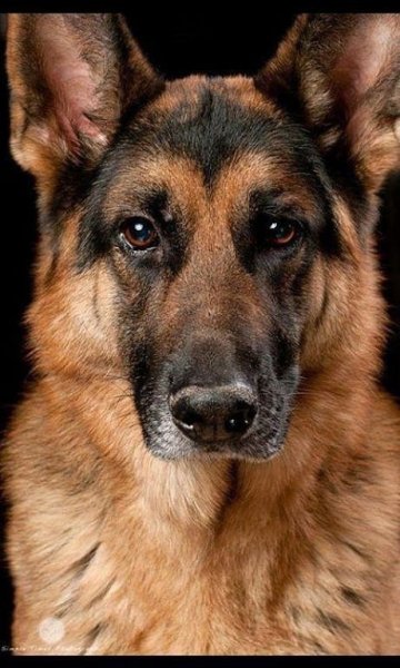 IMG 20150711 231052 42