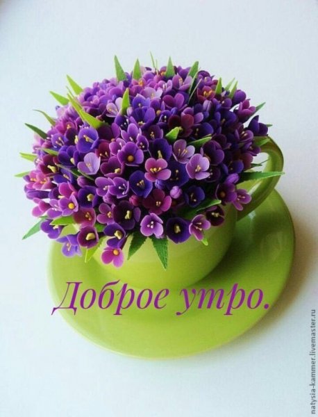 IMG 20180606 224648