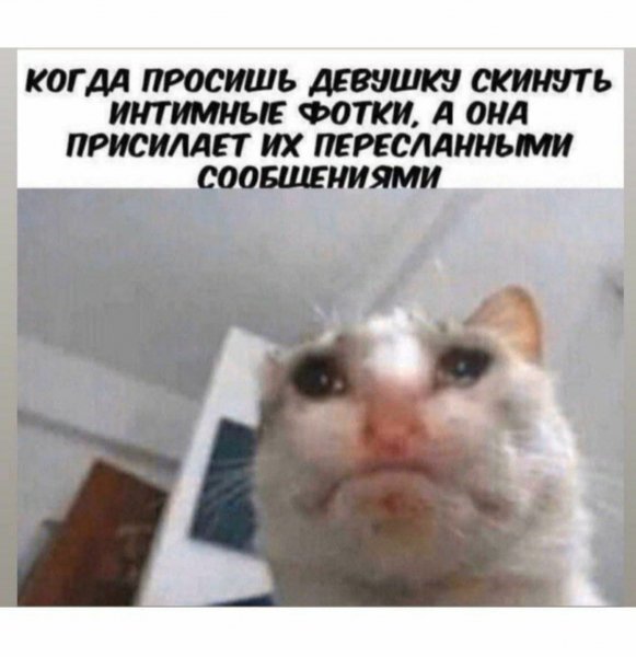 Image (4784)