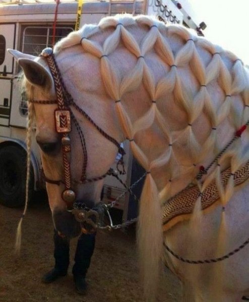 bc980dba3d7947a689715b88a005238e