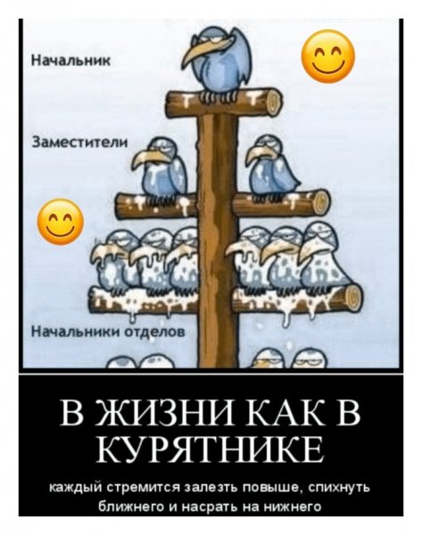 TH6YGvk-KXU
