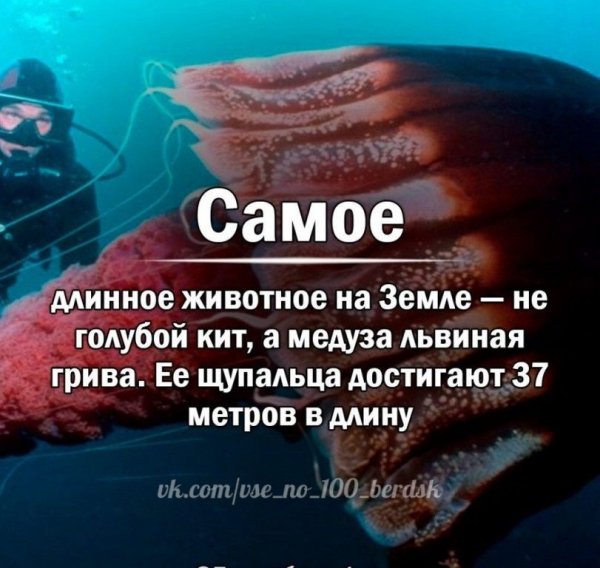 Это интересно