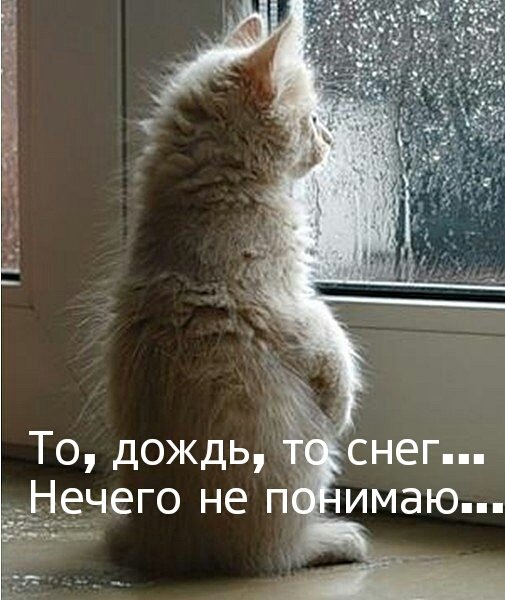 PicsArt 1452269444257