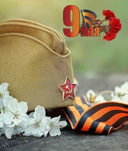 B6de6faf4a1d3cae79c3b6272e8fadcb