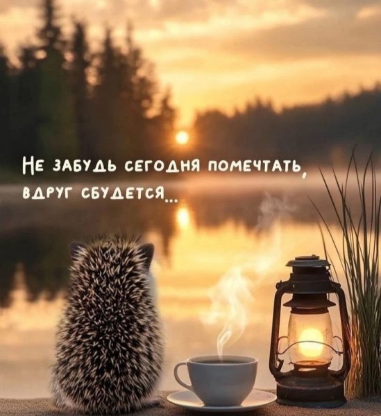 Мечты сбываются