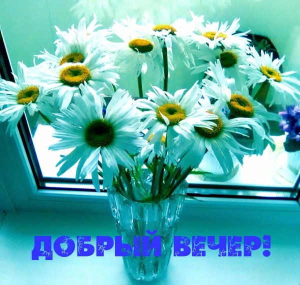 Друзья!