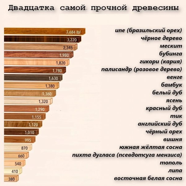 Твердость древесины
