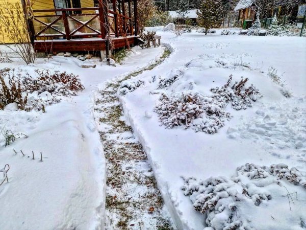 Зима уже пришла в далёкие края