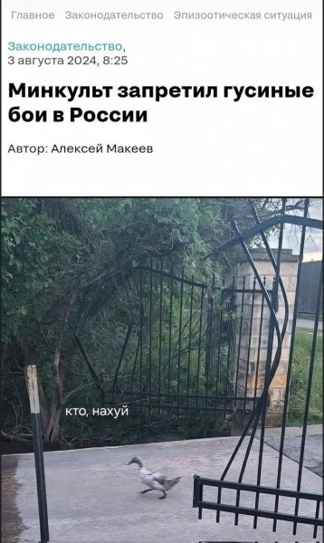 Но не перестрелки