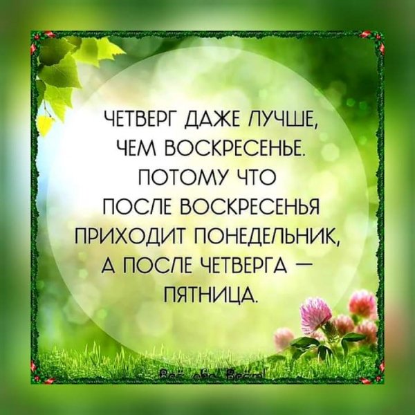 FB IMG 1621542465448