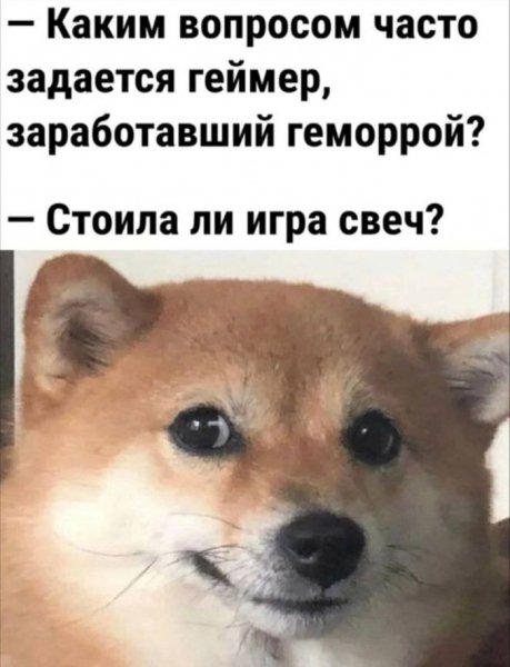 Nastroenija-memy-i-kartinki-kotorye-pojmut-tolko-vzroslye-6