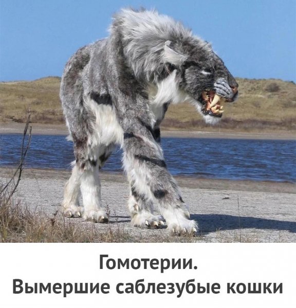 huqKJXdkzPE