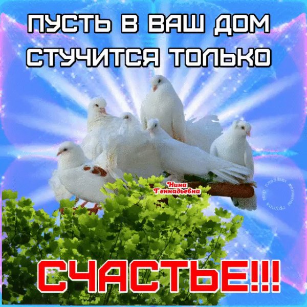 IMG 20211031 101518