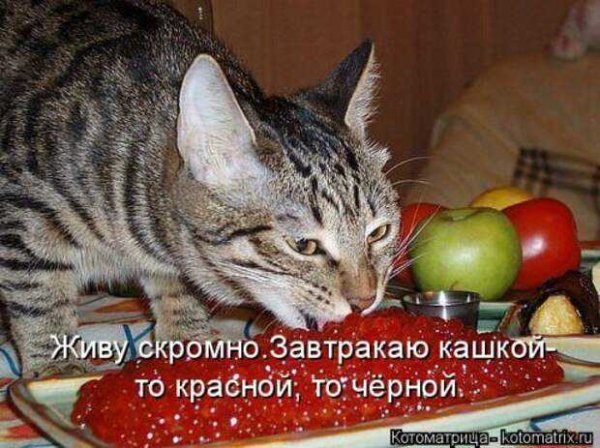 Живу скромно