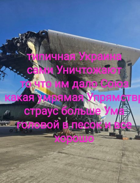 Оазис тупости