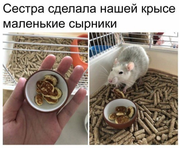 Маленькие сырники