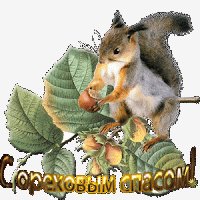 0 cc8b1 cca659b8 M