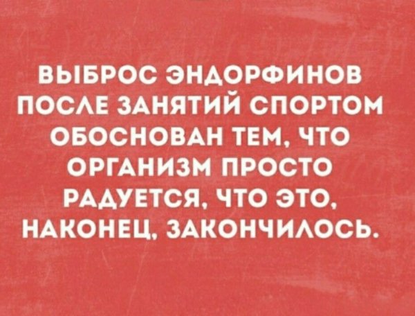 Спорт)