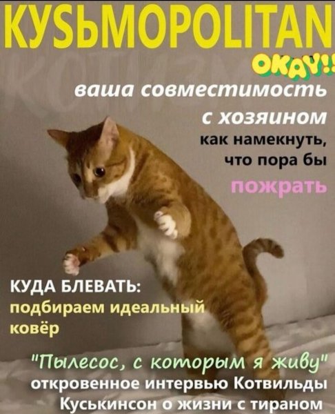 Для котов)