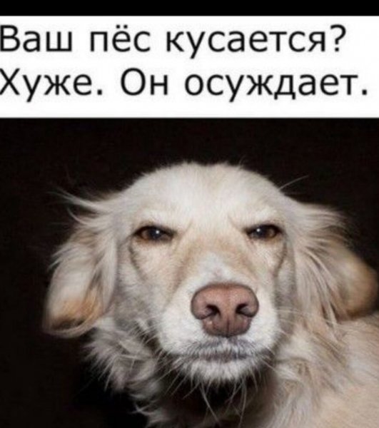 IMG 20230325 001811