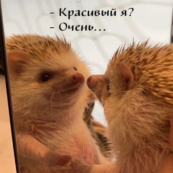 F5bb1d8d13919feec9edc512a60f9316