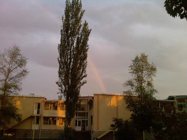 Photo-0035