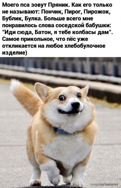 C165615100 1745420298