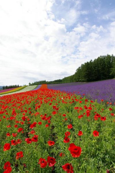 eba3002485bd65c9d48 prev