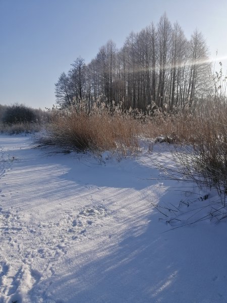 Рыбалка