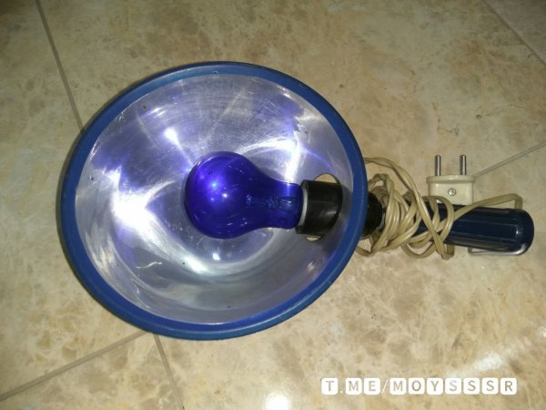 IMG 20220526 112239 766