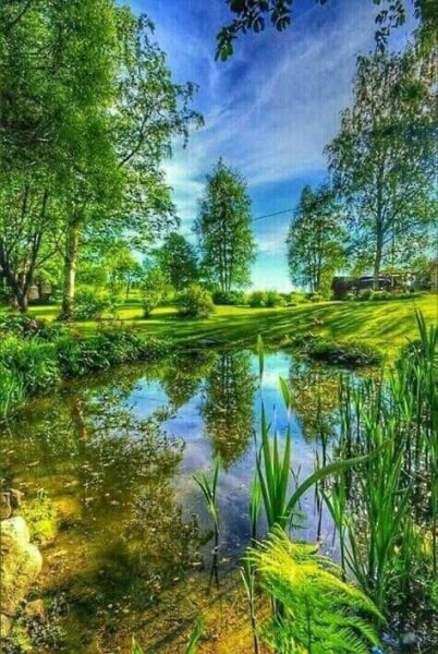 image (3) - 2020-11-03T013331.584