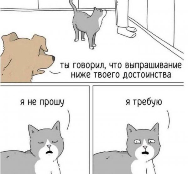 Ogromnaja-porcija-samyh-umoritelnyh-kartinok-i-memov-16