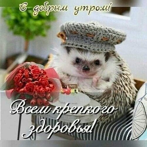 C41bd669926cb580dc44591b05efd243