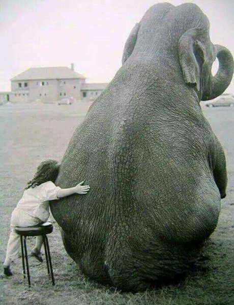 1cc32ebdff3c2e537f1c38c626123ed0