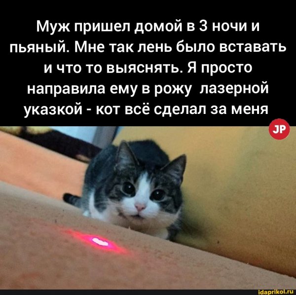 ee3eef4fc35d46123a5487900f4cfe5eff1208d9c05746060cb6f8ec74