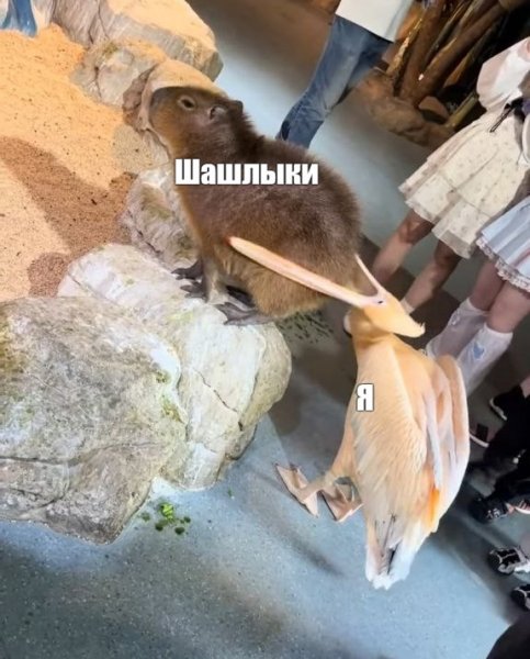 38ac9b04f7 000000000000000