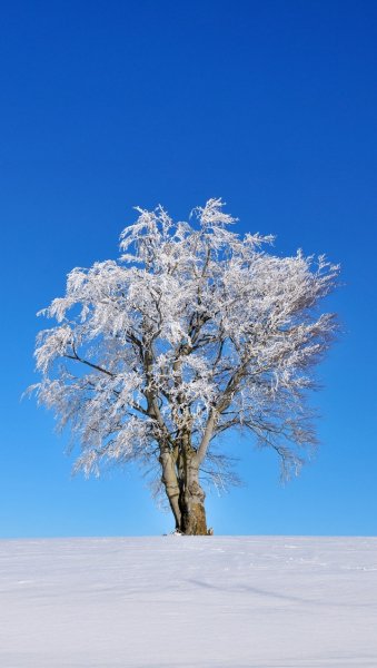 Screenshot 20260203-130633 One UI Home