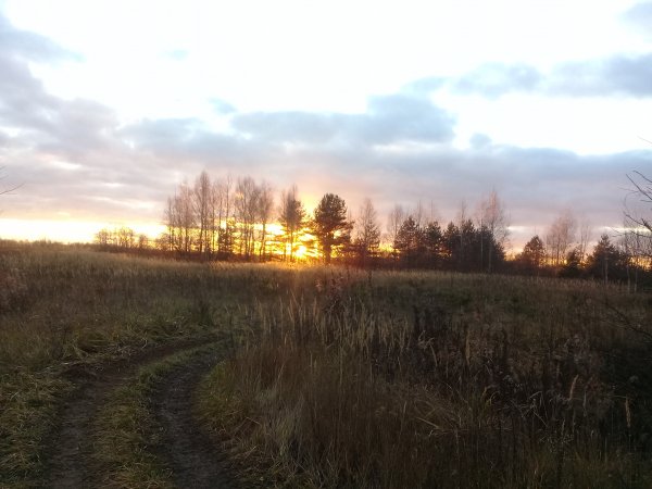picture_404951434